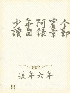 少年阿宾全文阅读目录章节