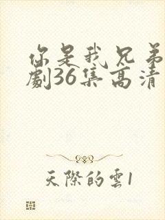 你是我兄弟电视剧36集高清完整版