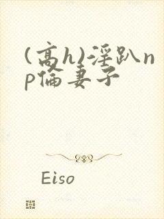 (高h)淫趴np伦妻子封面