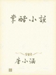 掌酷小说封面
