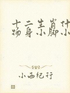 十二生肖什么动物身小脚小封面