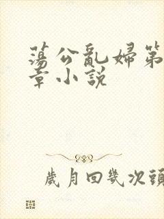 荡公乱妇第51章小说封面