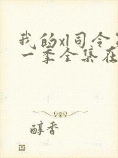 我的xl司令第一季全集在线观看完整版