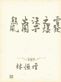 熊出没之雪岭熊风团子爆发封面