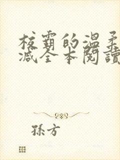 校霸的温柔无删减全本阅读