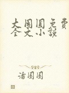 大团圆免费阅读全文小说