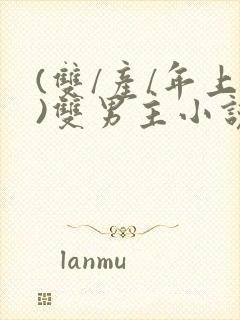 (双/产/年上)双男主小说