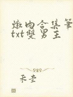 炖肉合集笔趣阁txt双男主