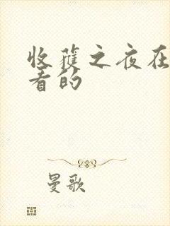 收获之夜在线观看的