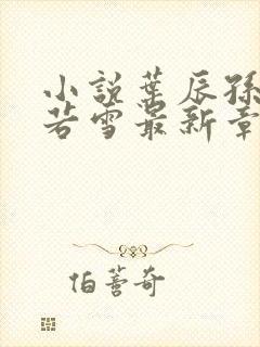 小说叶辰孙怡夏若雪最新章节阅读