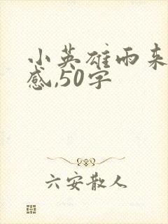 小英雄雨来读后感,50字封面