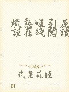 炽热吸引原著小说在线阅读