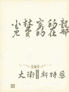 小林家的龙女仆免费的在哪看封面