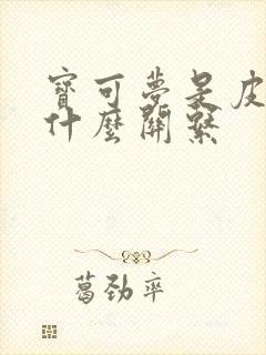 宝可梦是皮卡丘什么关系