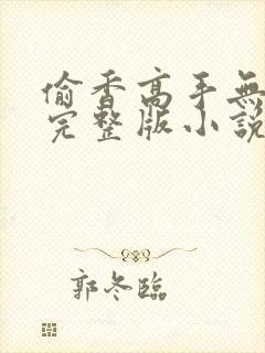 偷香高手无删减完整版小说