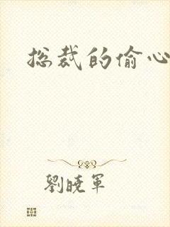 总裁的偷心娇妻