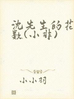 沈先生的花式调数(小非)