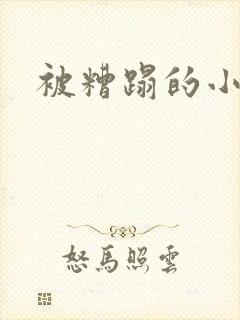 被糟蹋的小美人