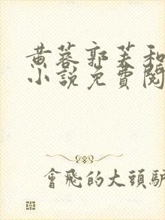 黄蓉郭芙和伯颜小说免费阅读