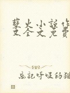 孽火小说作者今又全文免费阅读