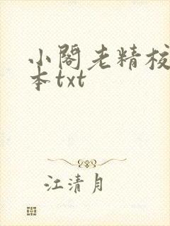 小阁老精校版全本txt封面