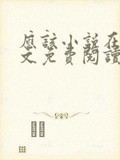 应该小说在线全文免费阅读