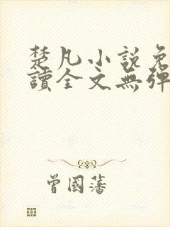 楚凡小说免费阅读全文无弹窗封面