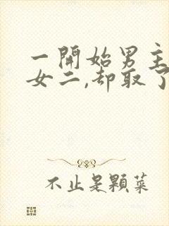 一开始男主很爱女二,却取了女主的古