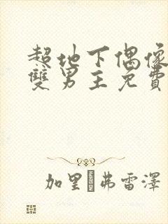 超地下偶像动漫双男主免费观看动漫