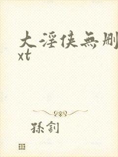 大淫侠无删减txt