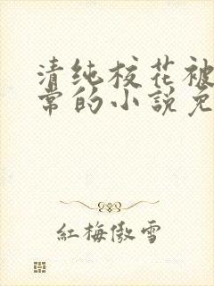 清纯校花被擒日常的小说免费阅读苏