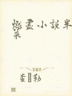 燃尽小说半截白菜