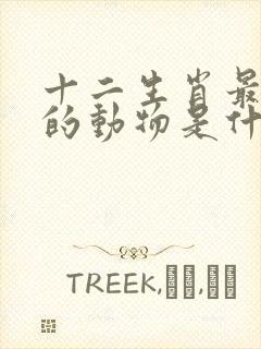 十二生肖最灵活的动物是什么生肖