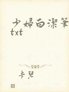 少妇白洁笔趣阁txt