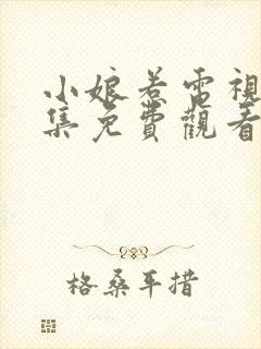 小娘惹电视剧全集免费观看完整版