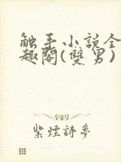 触手小说全文笔趣阁(双男)