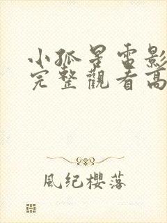 小孤星电影免费完整观看高清