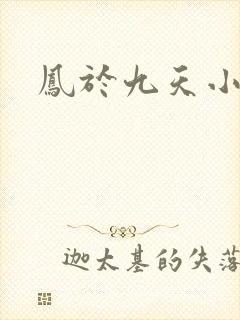 凤于九天小说封面