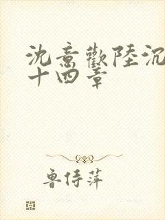 沈意欢陆沉舟第十四章封面