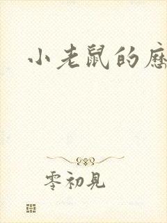 小老鼠的历险记