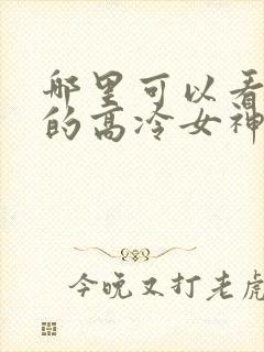 哪里可以看到我的高冷女神完结版