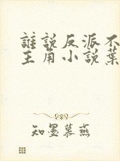 谁说反派不能当主角小说叶玄封面