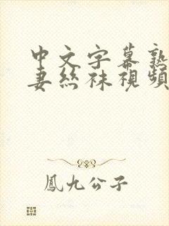 中文字幕熟女人妻丝袜视频