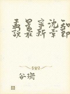 孟星宁沈知聿小说最新章节免费阅读封面