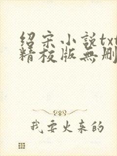 绍宋小说txt精校版无删减