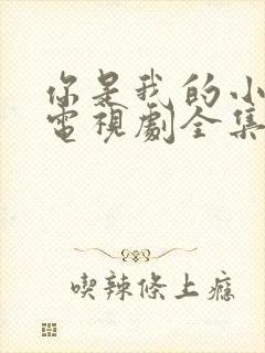 你是我的小确幸电视剧全集免费观看高清封面