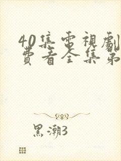 40集电视剧免费看全集第4集