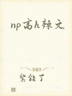 np高h辣文