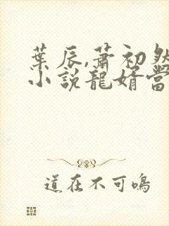 叶辰,萧初然的小说龙婿当道