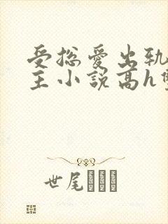 受总爱出轨双男主小说高h双男主封面